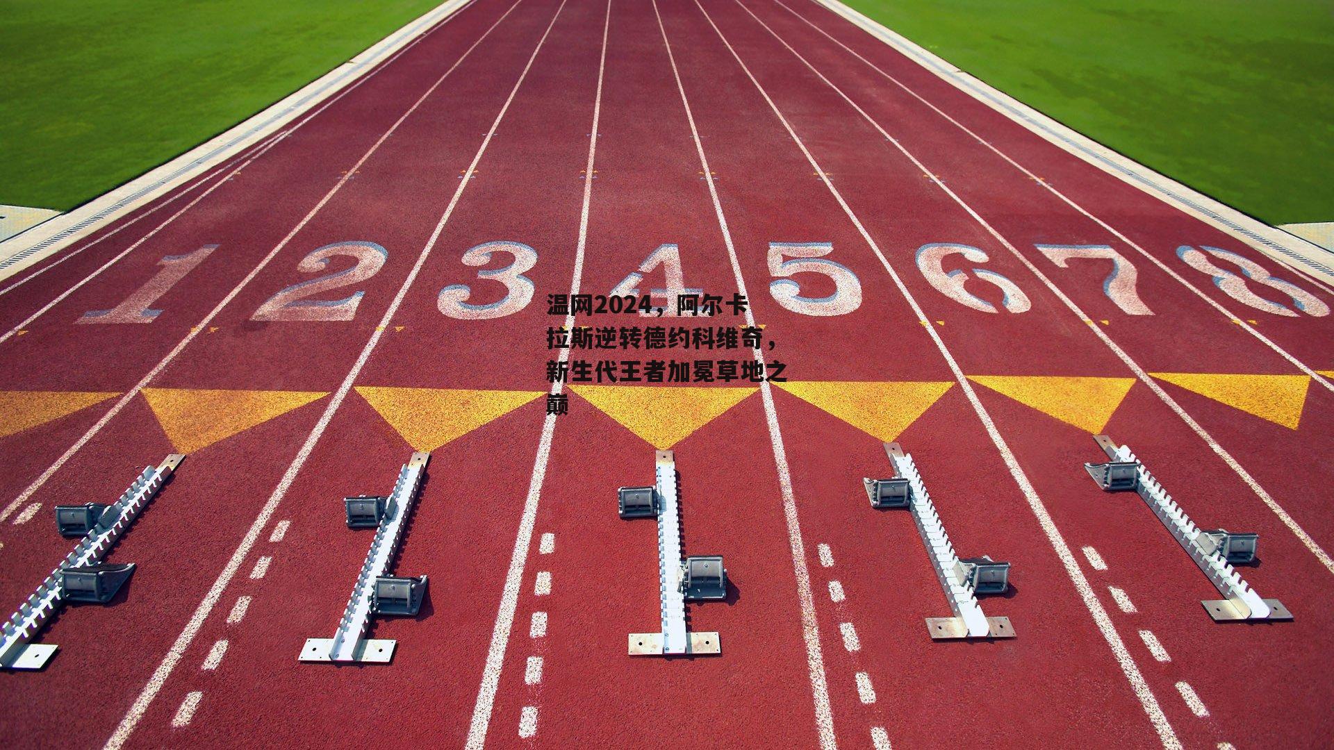 温网2024,阿尔卡拉斯逆转德约科维奇,新生代王者加冕草地之巅